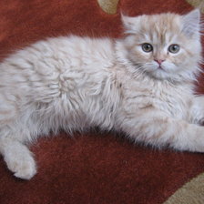 Схема вышивки «ПЕРСИК»