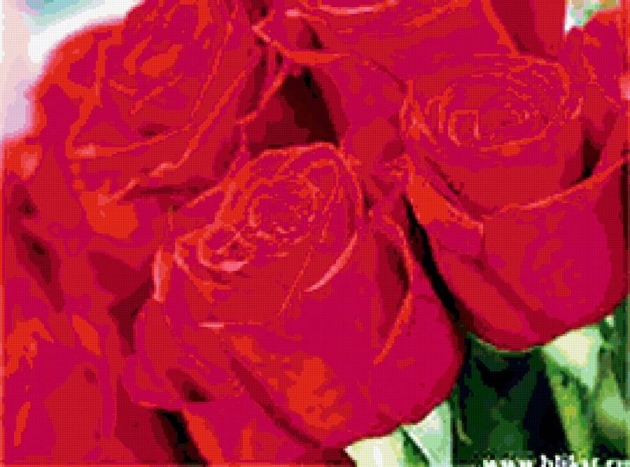 №285128 - цветы, розы, букеты - предпросмотр