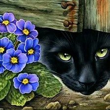 Схема вышивки «Черная кошка»