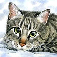 Схема вышивки «Мурочка»