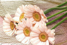 Схема вышивки «№285243»