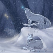 Схема вышивки «Волки»