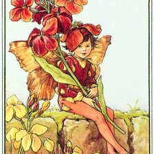 Цветочные феи