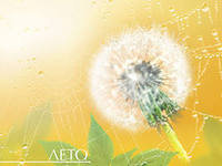 Схема вышивки «№285336»