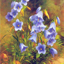 Схема вышивки «Колокольчики»