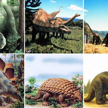 Схема вышивки «№285624»