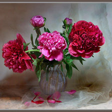 Схема вышивки «пионы»