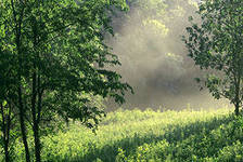 Схема вышивки «№285900»