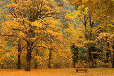 Схема вышивки «Городские мотивы»