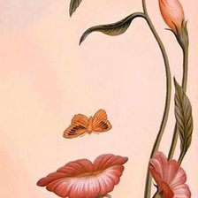 Схема вышивки «lico»