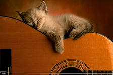 Схема вышивки «№286001»