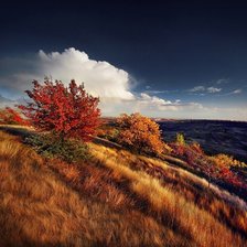 Схема вышивки «Осень»