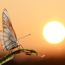 Схема вышивки «Закат»