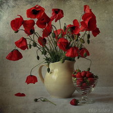 Схема вышивки «ккосмея»