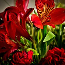 Схема вышивки «5»