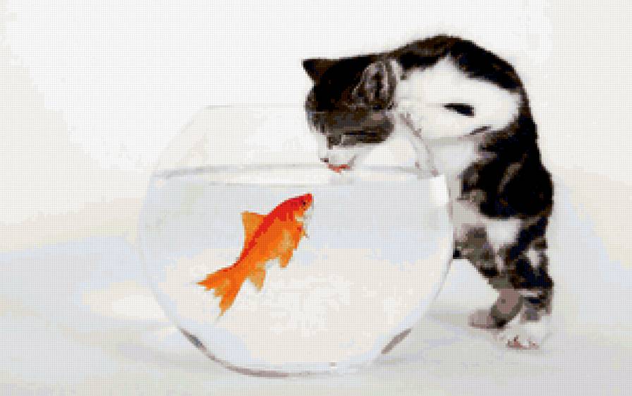 давай дружить - рыбка, кошка - предпросмотр