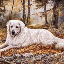 Схема вышивки «собака»