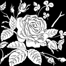 Схема вышивки «роза»