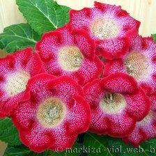 Схема вышивки «глося!»