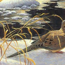 Схема вышивки «0066»