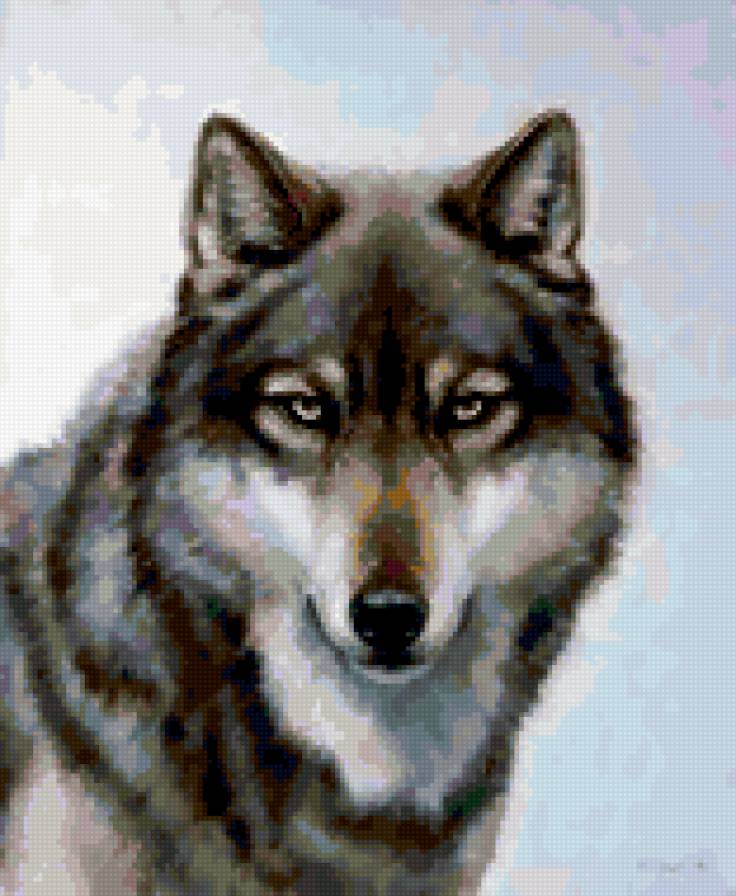 0067 - картина, волки, животные, природа, красота, волк - предпросмотр