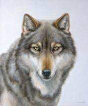 Схема вышивки «0067»