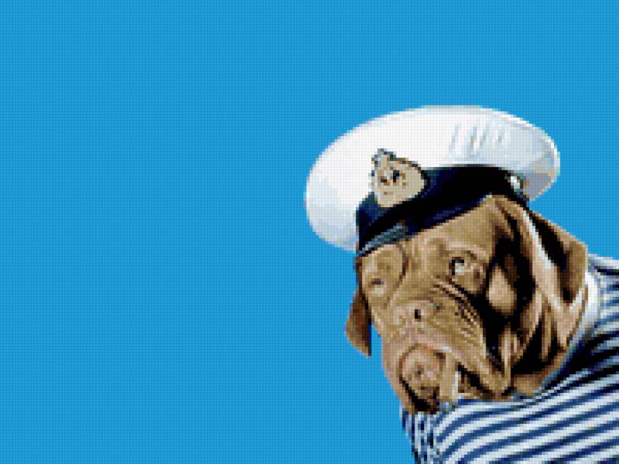 "Морской волк" - собачки - предпросмотр