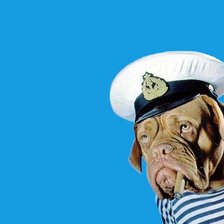 Схема вышивки «"Морской волк"»