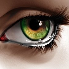 Схема вышивки «взгляд2»