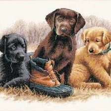 Схема вышивки «№286569»