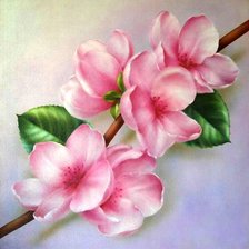 Схема вышивки «№286601»