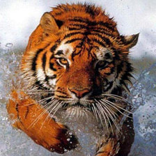 Схема вышивки «серия "животные"»