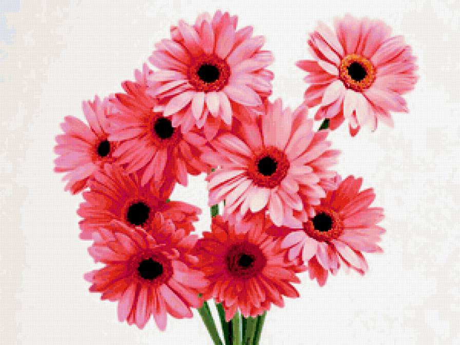 нежный букетик - предпросмотр