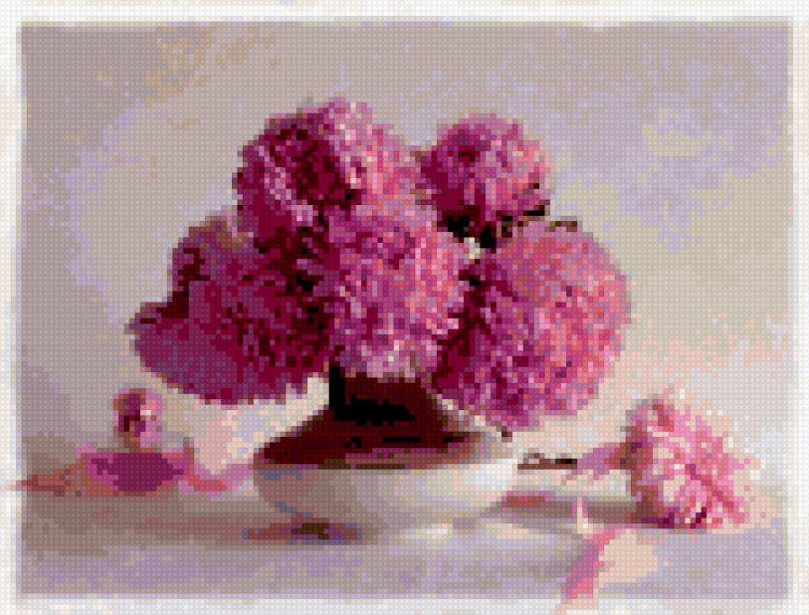 астры - цветы - предпросмотр