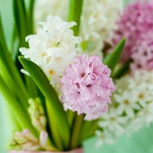 Схема вышивки «№287019»