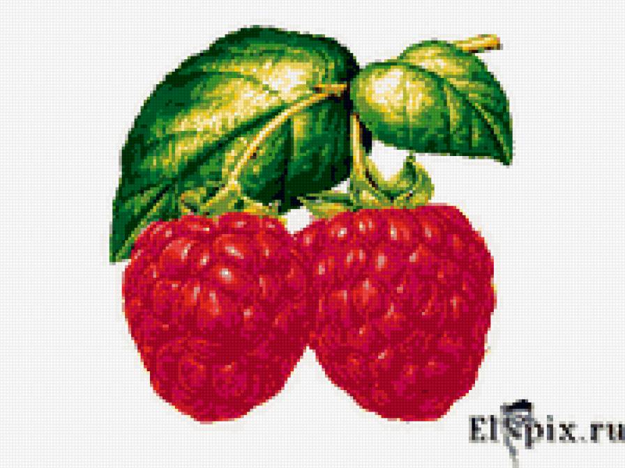 малинка - для кухни, малина, ягода - предпросмотр