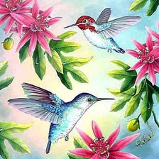 Схема вышивки «Коллибри и цветы»