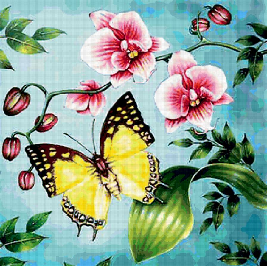 Бабочка и орхидеи - цветы, бабочка - предпросмотр