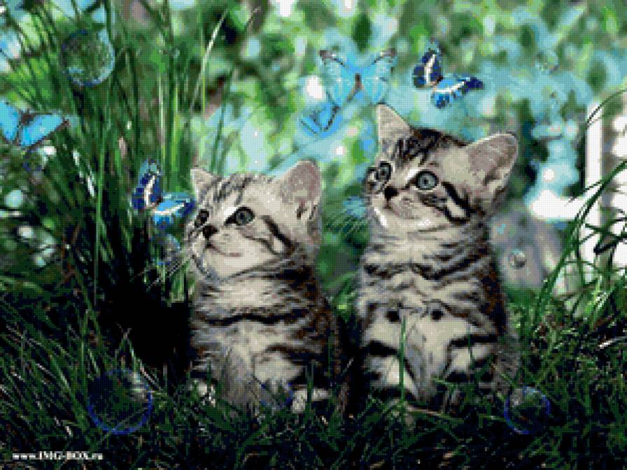 Котики на прогулке - коты, бабочки - предпросмотр