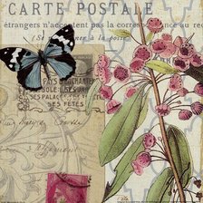 Схема вышивки «бабочка»