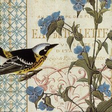 Схема вышивки «птица»