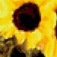 Предпросмотр схемы вышивки «подсолнухи» (№287400)