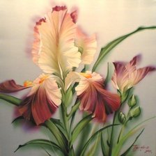 Схема вышивки «ирис»