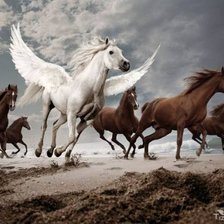 Схема вышивки «серия "единороги и пегасы"»