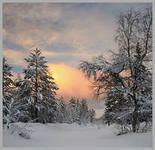 Схема вышивки «№287603»