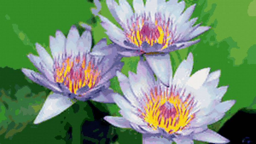 №287691 - розы, цветы, букеты - предпросмотр