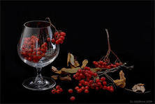 Схема вышивки «№287968»