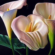 Схема вышивки «№288128»