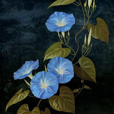 Схема вышивки «№288171»