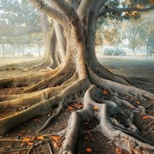 Схема вышивки «дерево жизни»